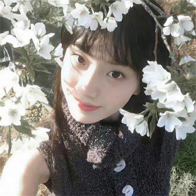 泡妞大行动高清封面